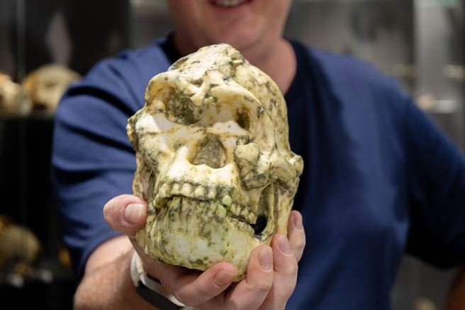 ‘लिटिल फुट’ जीवाश्म मानव पूर्वज की नई प्रजाति हो सकता है: अध्ययन