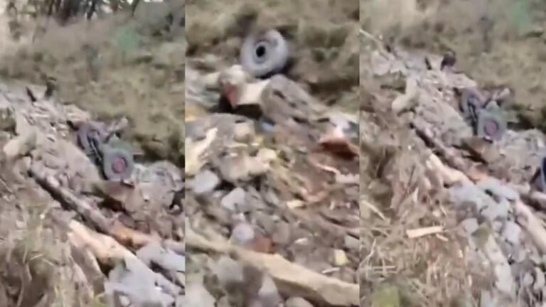 डोडा में जवानों की गाड़ी खाई में गिरी, 10 की मौत