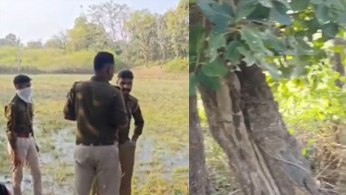 एक गोत्र में कैसे होगी शादी? 15 दिन तक कपल की पेड़ से लटकी रही लाश